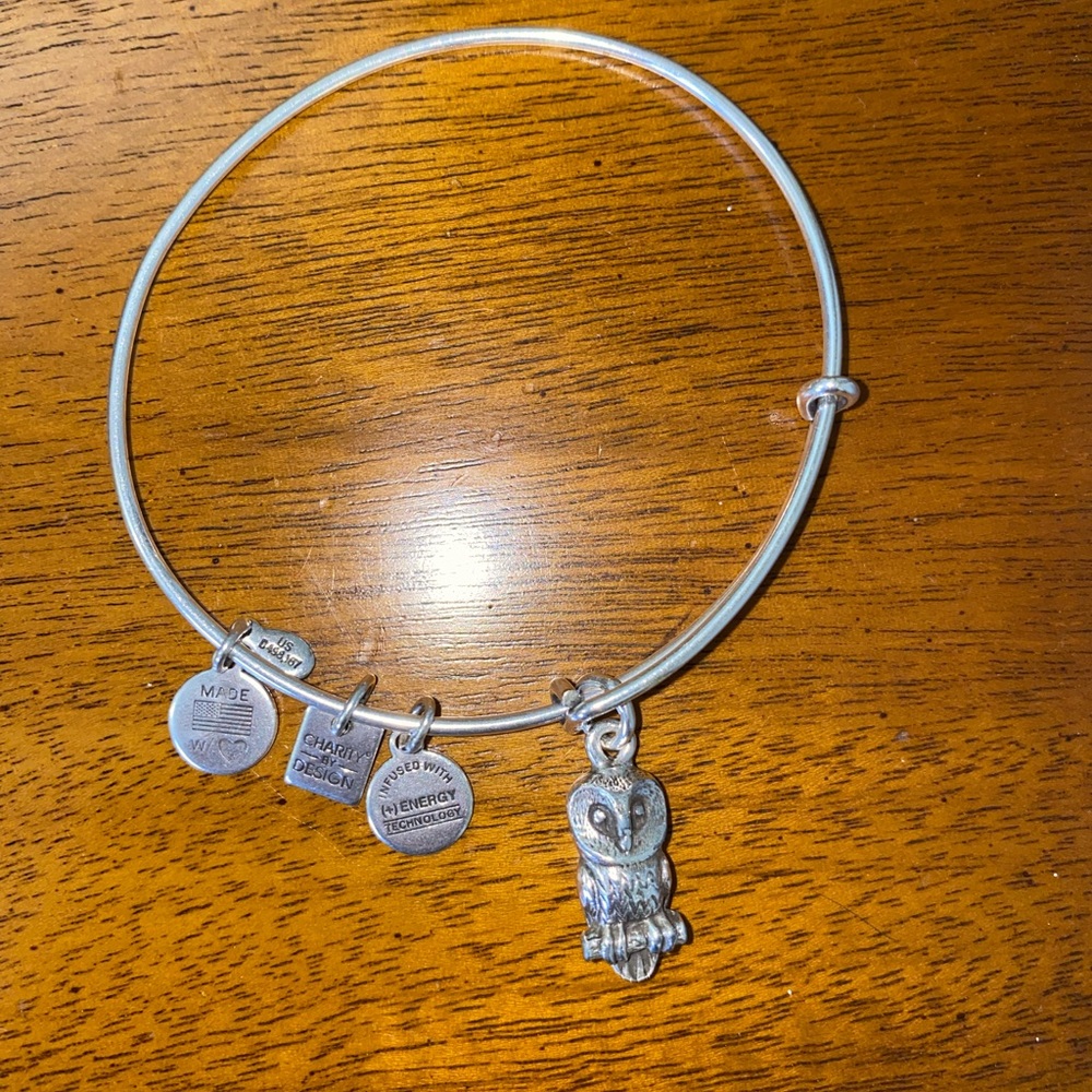 Alex and Ani Owl Bangle